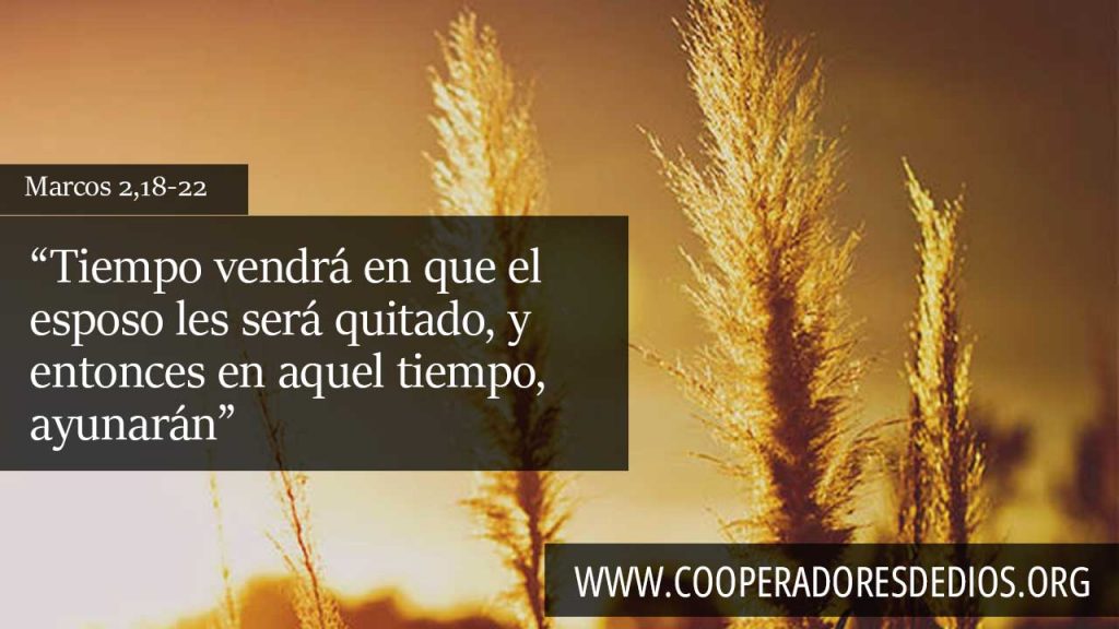 Tiempo vendrá en que el esposo les será quitado, y entonces en aquel tiempo, ayunarán