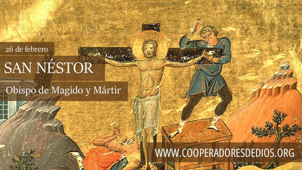 san nestor