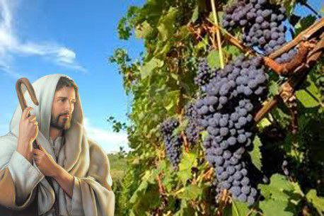DOMINGO V DE PASCUA