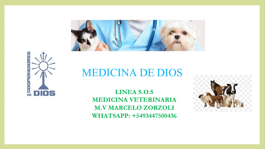 Linea S.O.S